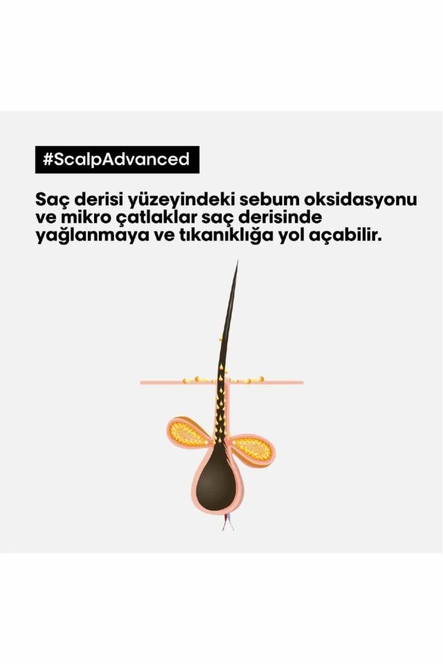 Loreal Professionnel Paris Serie Expert Scalp Advanced Yağlanma Karşıtı Profesyonel Şampuan 500 Ml